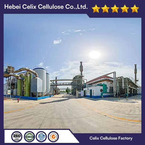 18년 Celix 공장