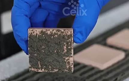 좋은 타일 접착력을 정의하는 방법을 보여주는 3가지 실험 (Celix Cellulose 제공)