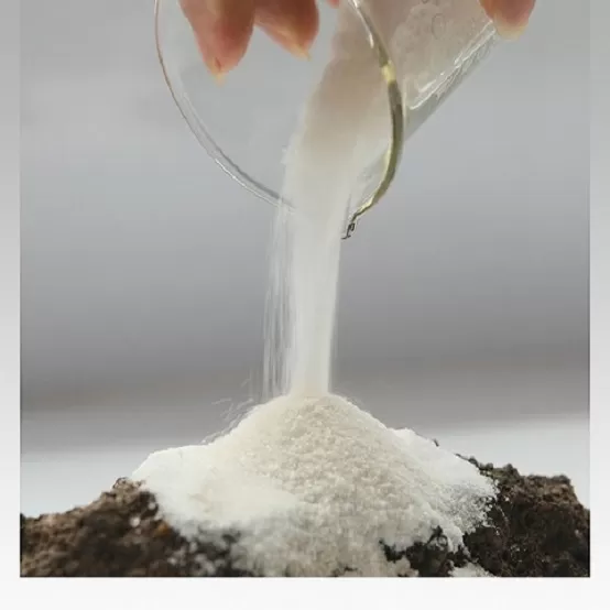 글루콘산나트륨