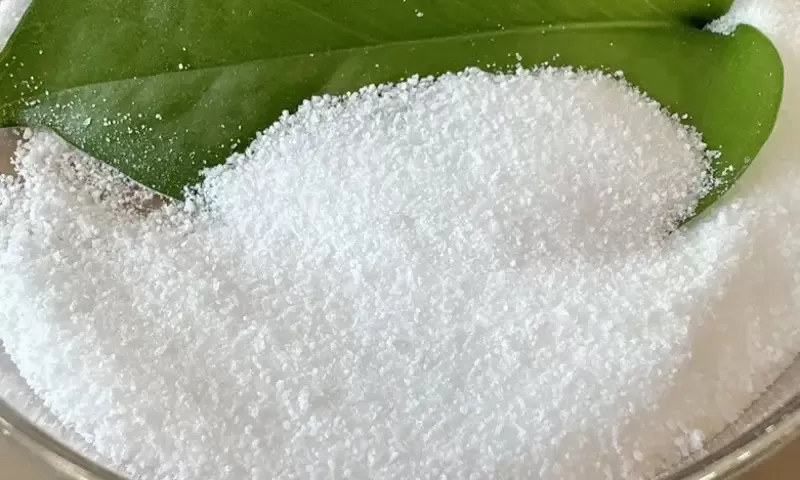 글루콘산나트륨