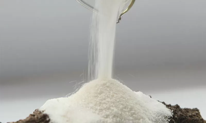글루콘산나트륨